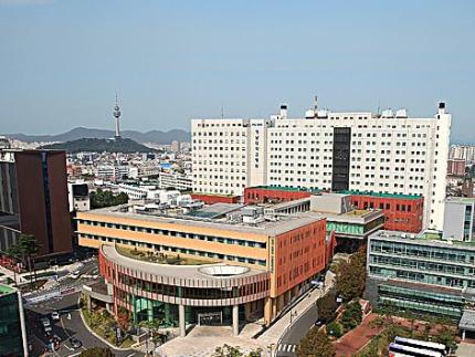 영남대학교의료원 사진